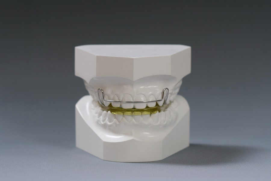 Wtizig bionator STAALAB