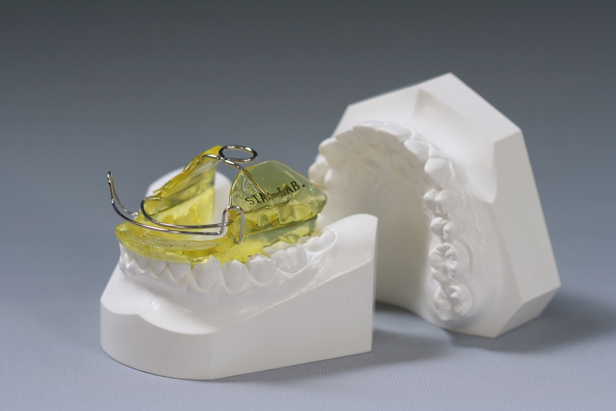 Wtizig bionator STAALAB